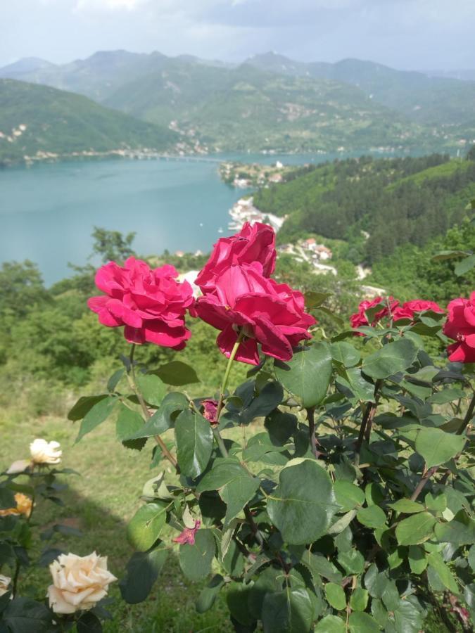 Lejla Apartmani - Jablanicko Jezero Konjic Bagian luar foto