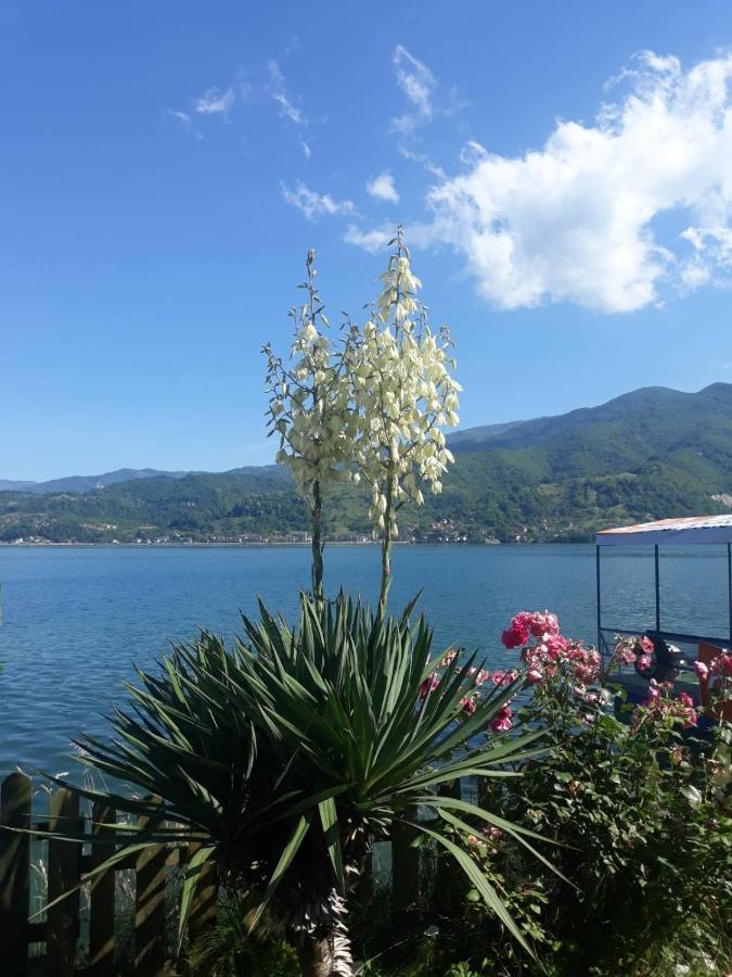 Lejla Apartmani - Jablanicko Jezero Konjic Bagian luar foto